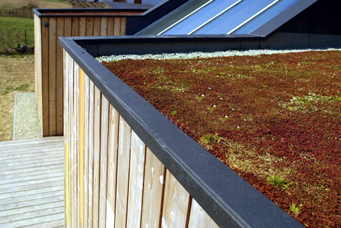 09-green-roof-phot-t-pikula 09-green-roof-phot-t-pikula