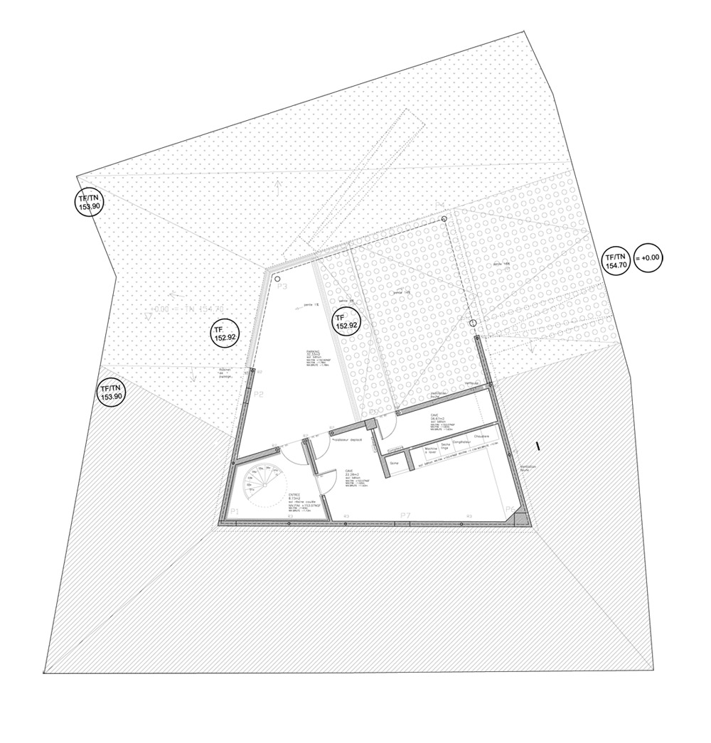 1364367165-planta-menos1 plan -1
