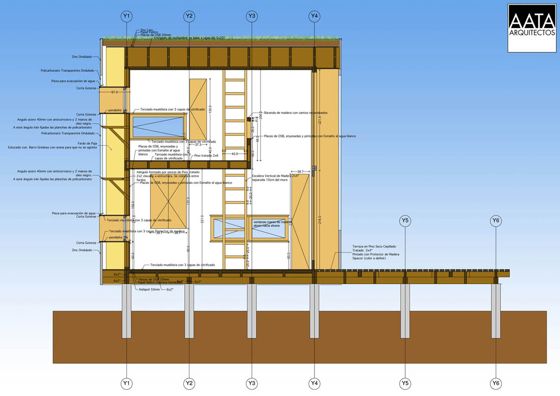 corte section