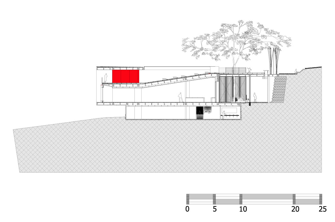 corte11 section 01