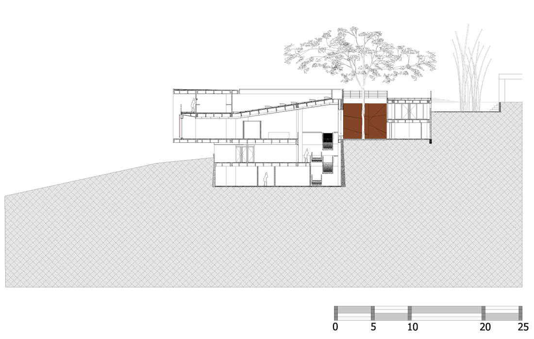 corte3 section 03