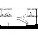 corte5 section