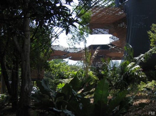 felipe-mesa-3