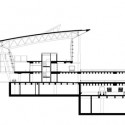 finger-section Finger section