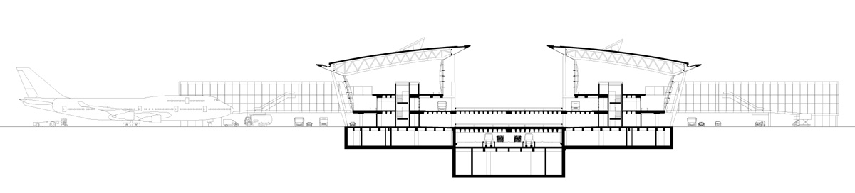 finger-section Finger section