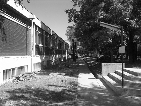 foto-patio-ingles-antes-bn patio before renovation