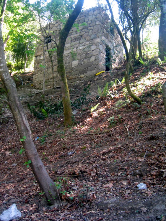 imagem1-028 house + ruins