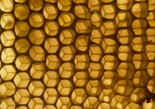 panal1 panal scheme