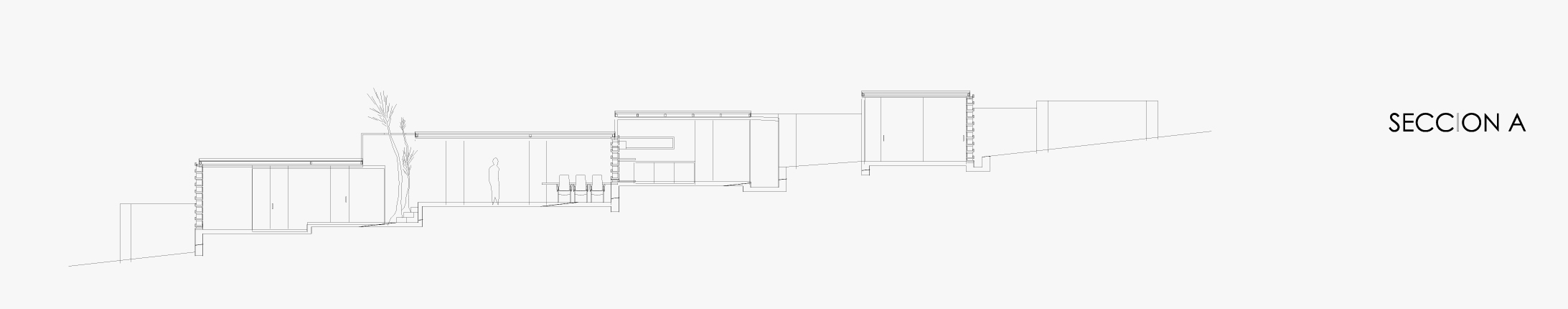 section-a1 section a
