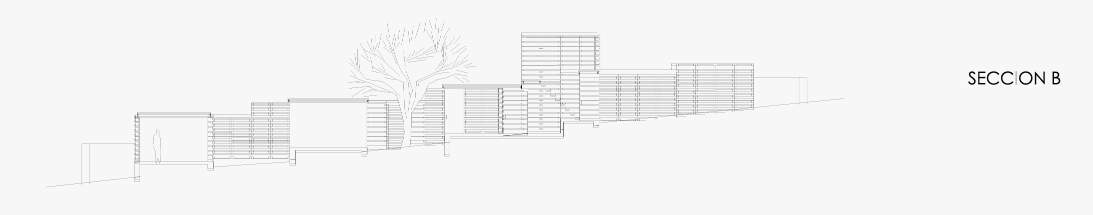 section-b section b