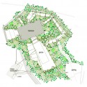 1438141256-ntw-trees-plants trees plan