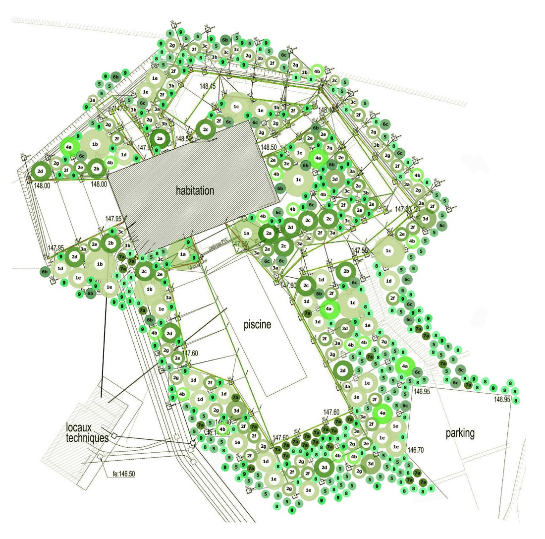 1438141256-ntw-trees-plants trees plan