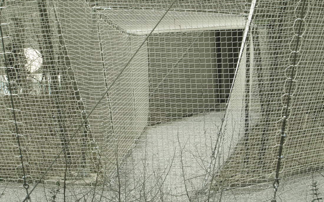 1840162873-ntw-entrance-3 construction process