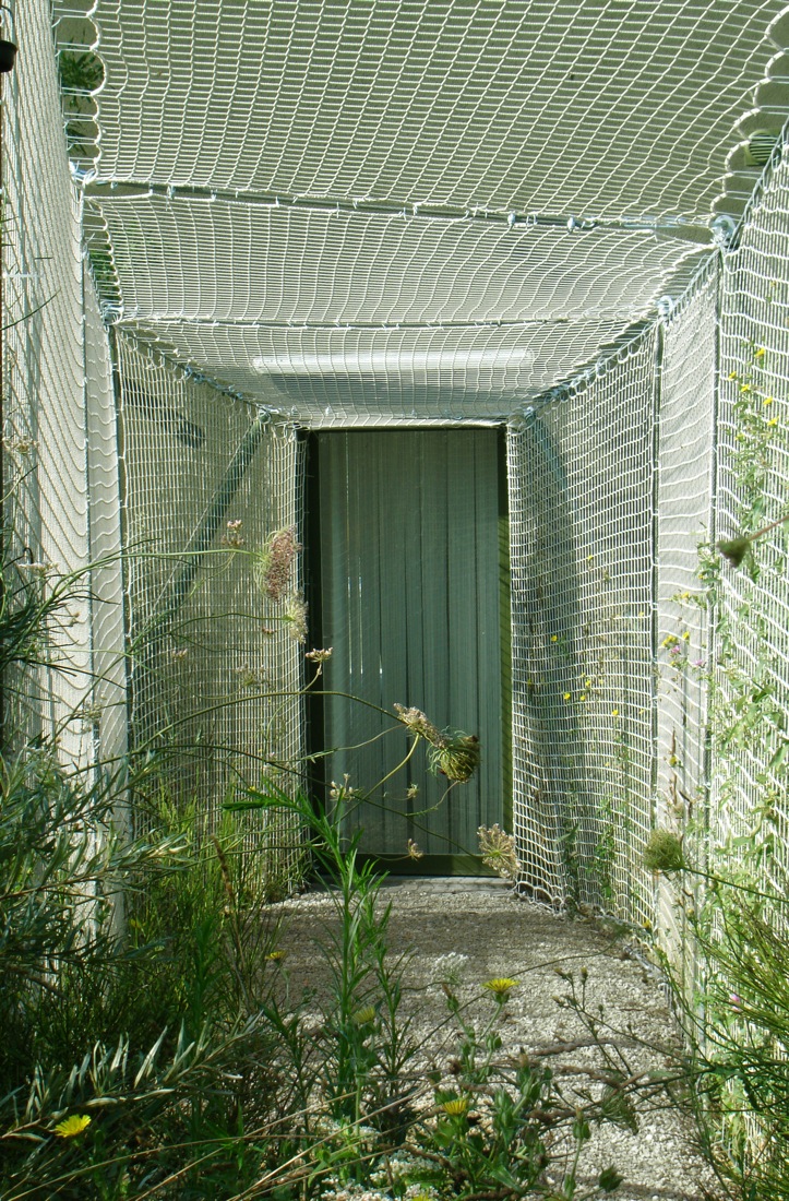 1993250117-one-year-after-door-6 1 year after