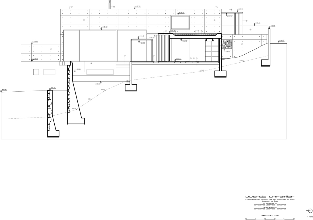 SECCION T3 ALZADO N Model (1) section 04