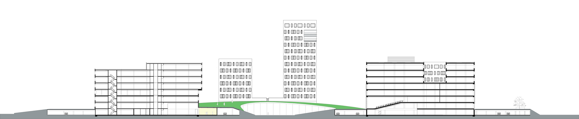 239933882_section section
