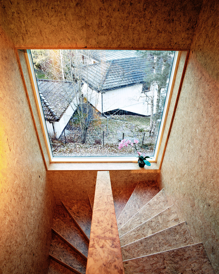 Triangle House / JVA