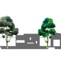 1576029225_pianola-con-aic281rboles elevations + trees