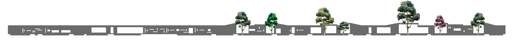 1576029225_pianola-con-aic281rboles elevations + trees