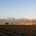 1100525712_2 Photo by Felipe Camus