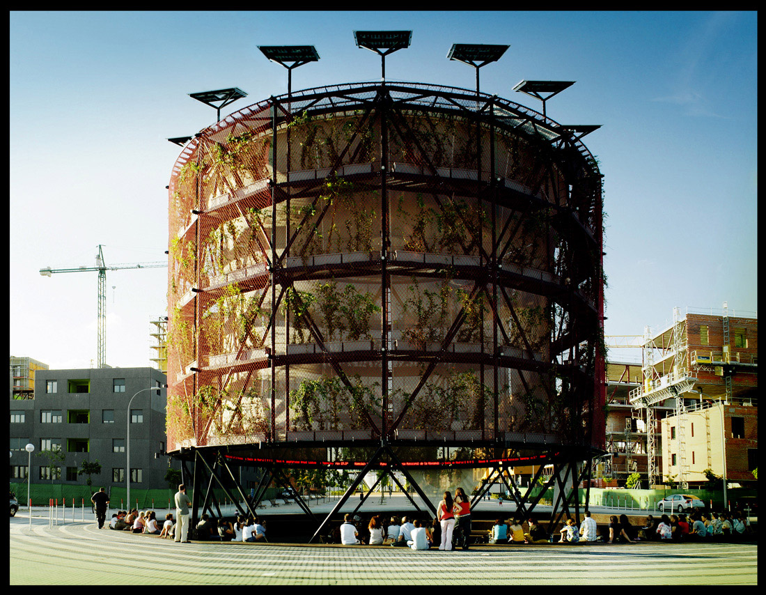 1816988525_actuacionarbol07 performances