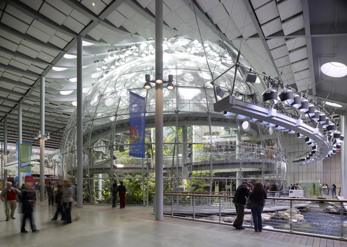 California Academy of Sciences / Renzo Piano