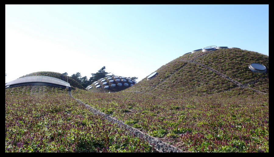 California Academy of Science / Green roof construction and opening