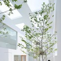 1535055289_house-n-fujimoto-4738 1535055289_house-n-fujimoto-4738 1535055289_house-n-fujimoto-4738