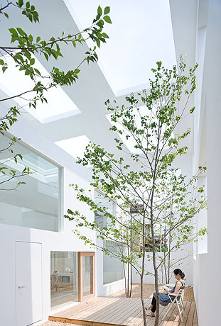 House  N / Sou Fujimoto