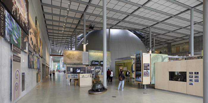 California Academy of Sciences / Renzo Piano