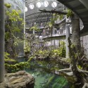 1996009194_20-rainforest-interior 1996009194_20-rainforest-interior Photo © Tim Griffith