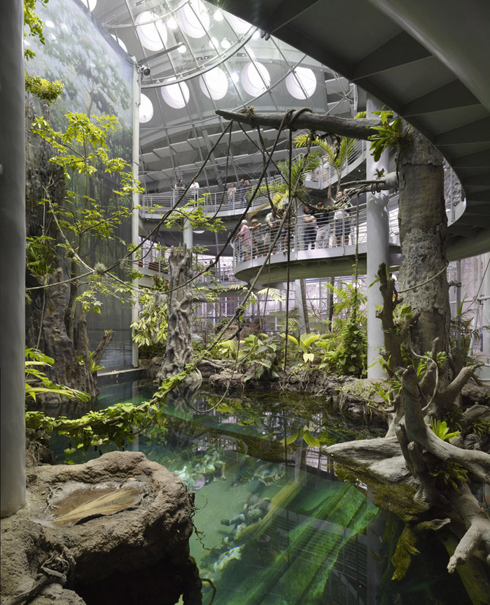 California Academy of Sciences / Renzo Piano