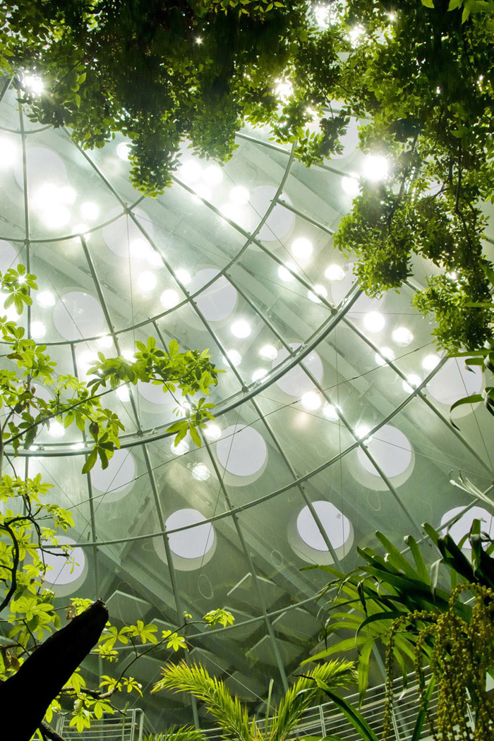 California Academy of Sciences / Renzo Piano