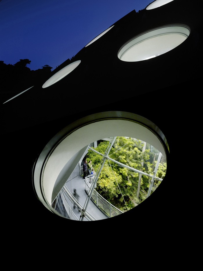 672144110_12-living-roof-closeup-night Photo © Tim Griffith