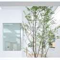 744427144_house-n-fujimoto-4978 744427144_house-n-fujimoto-4978 744427144_house-n-fujimoto-4978