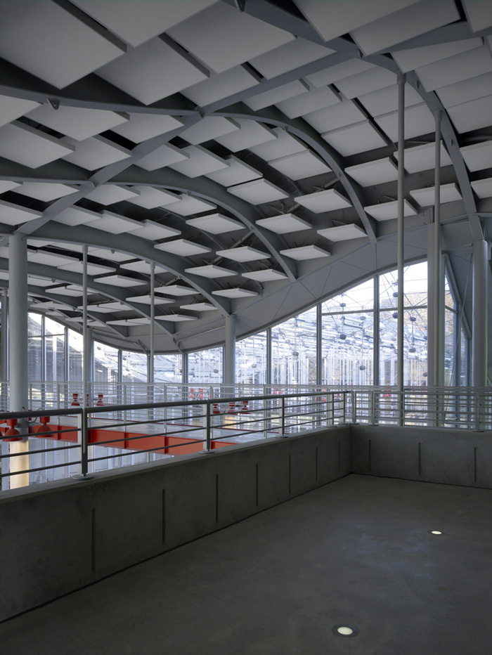 California Academy of Sciences / Renzo Piano