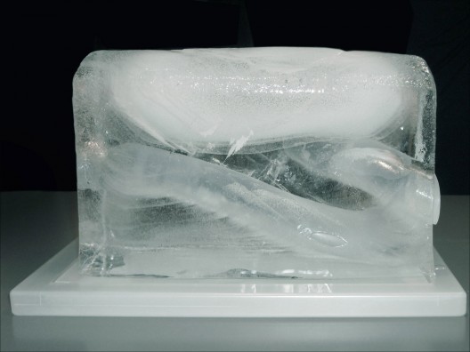 147170475_water-flux-24