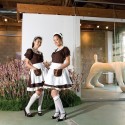 1586555658_10 1586555658_10