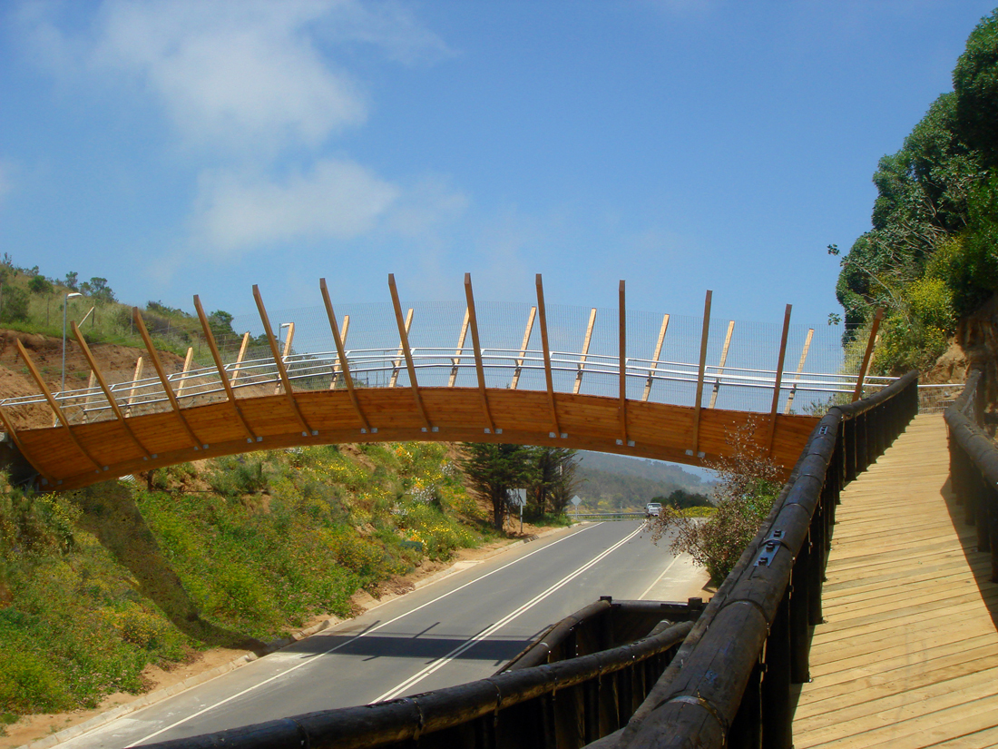 Pedestrian Bridge in Zapallar / Enrique Browne