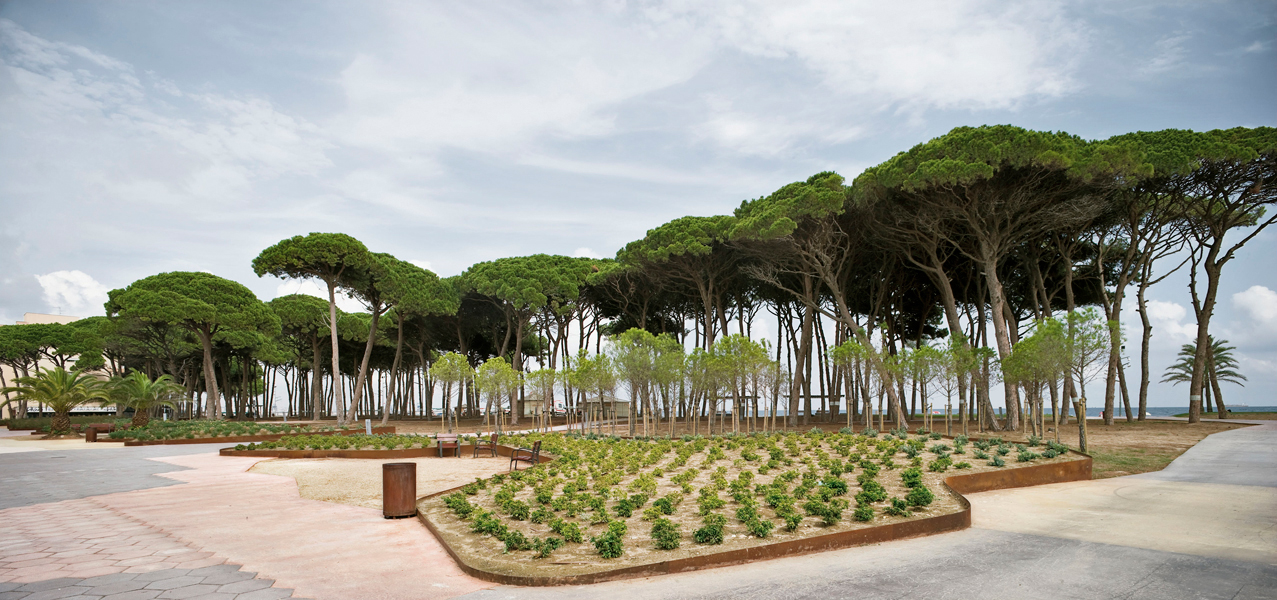 “Pinar de Perruquet” Park / Arteks Arquitectura