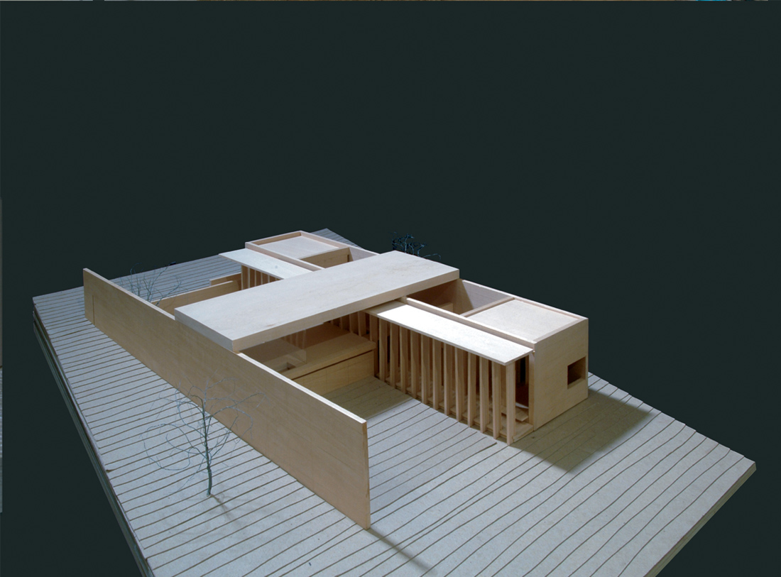 2097990098_5 model 02