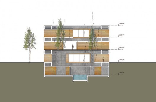section