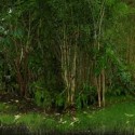 1326004949_largeflat 1326004949_largeflat 1326004949_largeflat