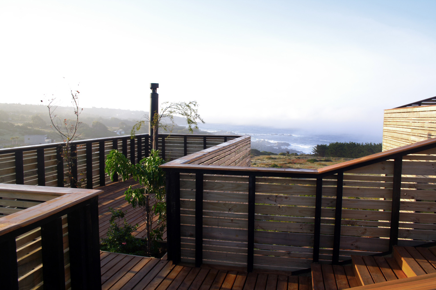 Metamorphosis 1 / Jose Ulloa Davet + Delphine Ding