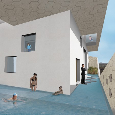 1315744666_exterior4-pool-hexagonal-copy