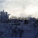 1493807719_31 by Sou Fujimoto
