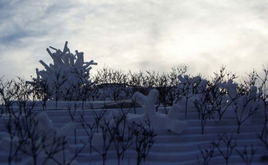 1493807719_31 by Sou Fujimoto