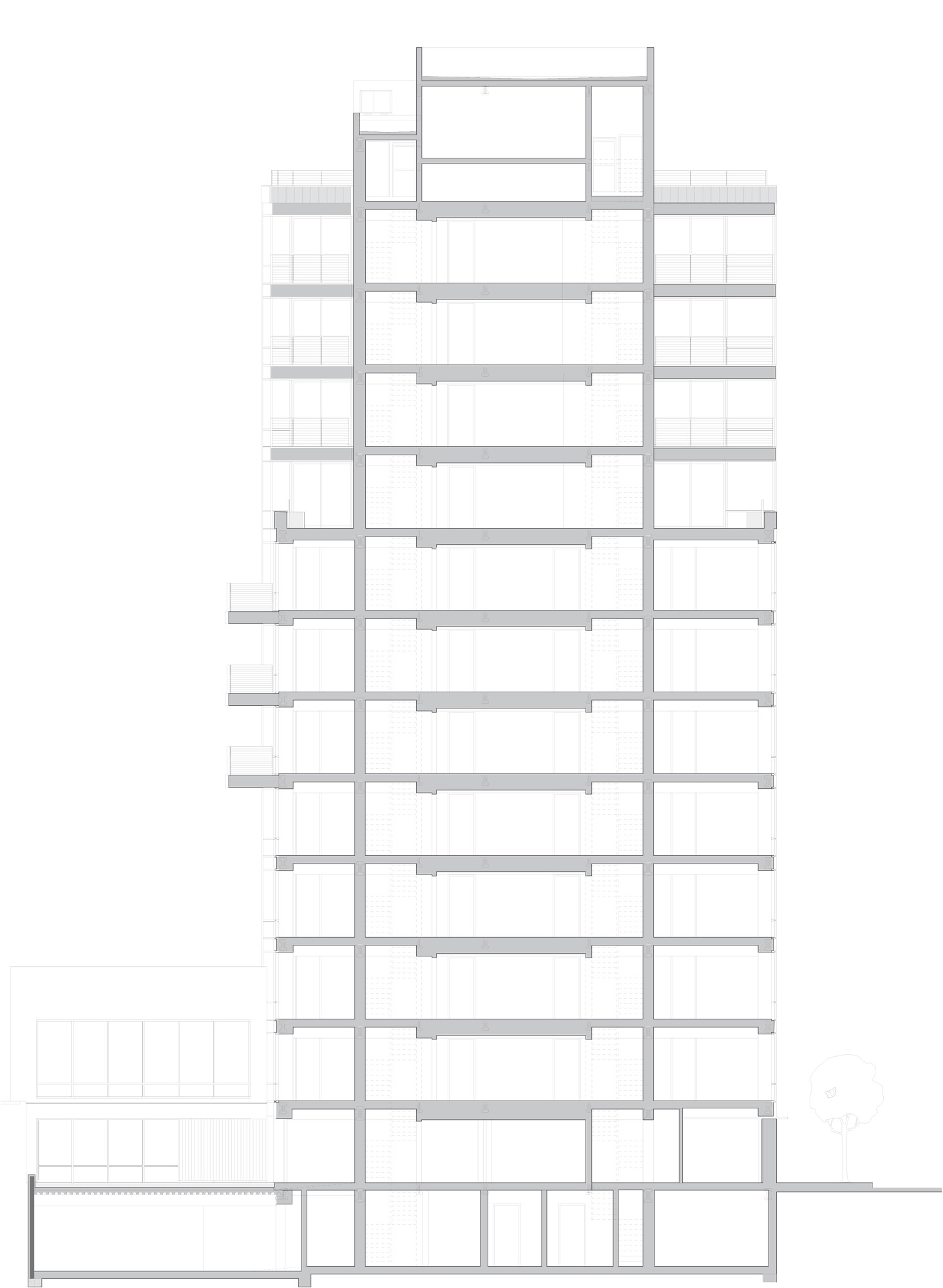 22-West 19th Street N-S Bldg Section v12 [Converted] north-south elevation