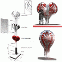 2020611473_heart 2020611473_heart