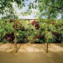 Clara Display Suite / Elenberg Fraser Architecture